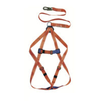 Arnés/Linea de vida